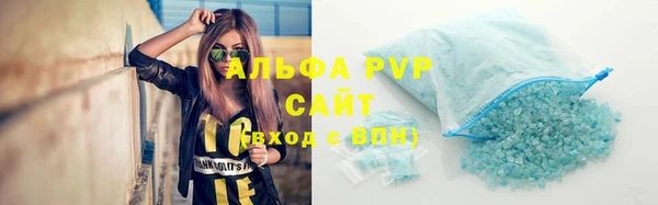 прущие грибы Баксан