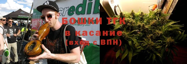 прущие грибы Баксан