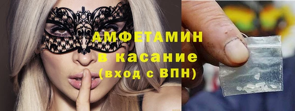 прущие грибы Баксан